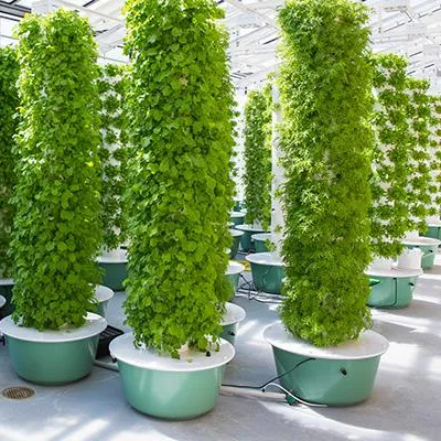 Hydroponic Tower - Sistemas de Jardín en Torres Aeropónicas