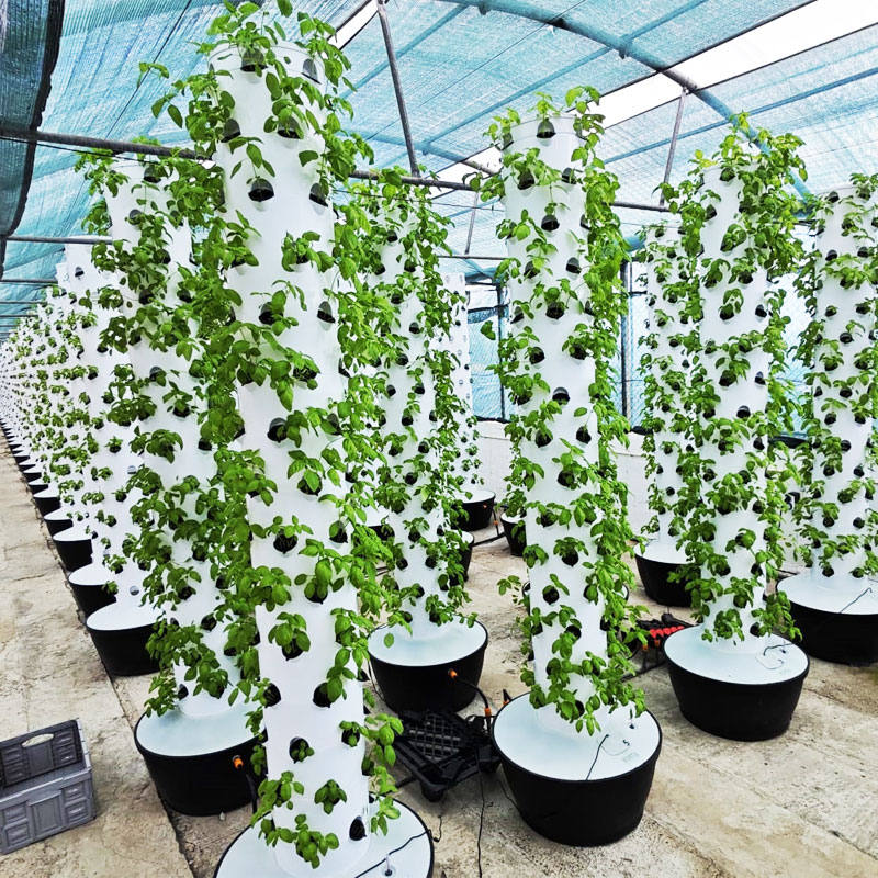 Hydroponic Tower - Sistema de Cultivo Vertical Hidropónico de