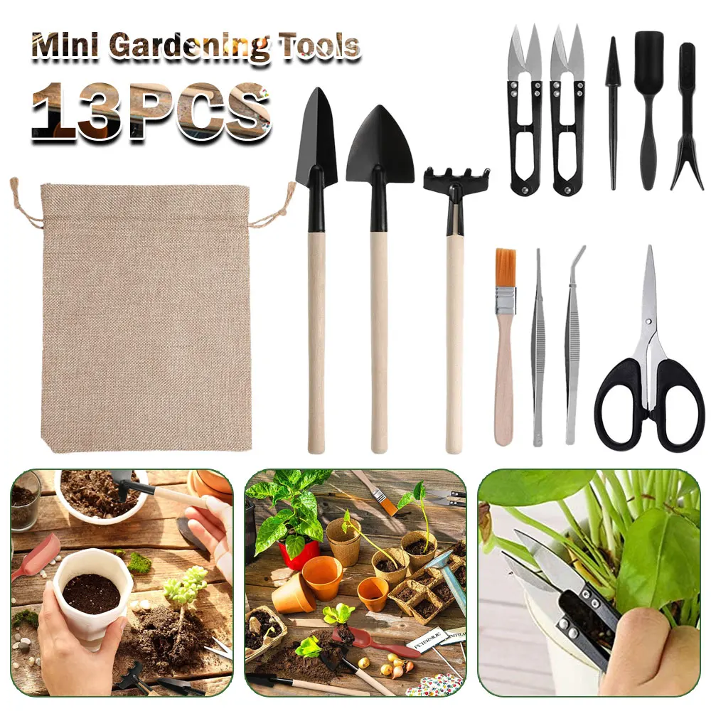 Indoor Garden Kit - Juego de Herramientas para plantas suculentas