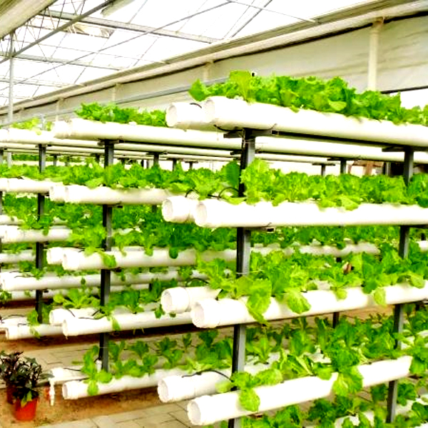 Sistemas de Cultivo Hidropónic - Hydroponic Tower reseña y precio