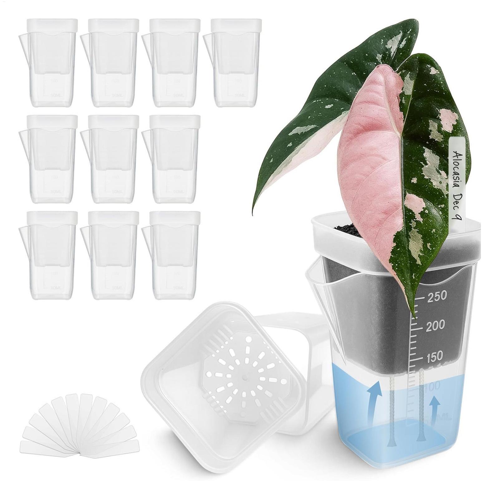 10 Macetas Transparentes con A - Hydroponic Grow Pod reseña y precio