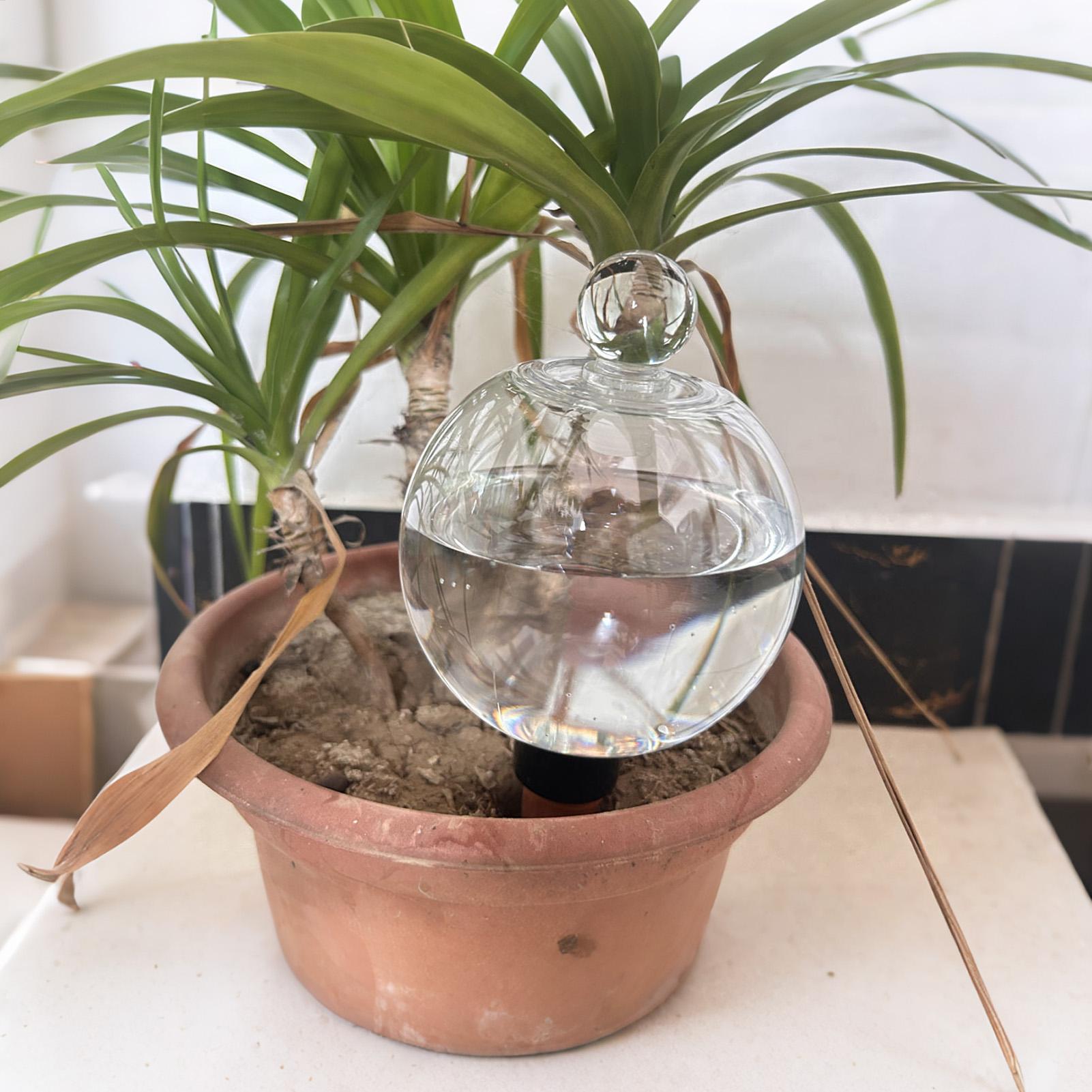Bombillas de Riego para Planta - Plant Sensor reseña y precio