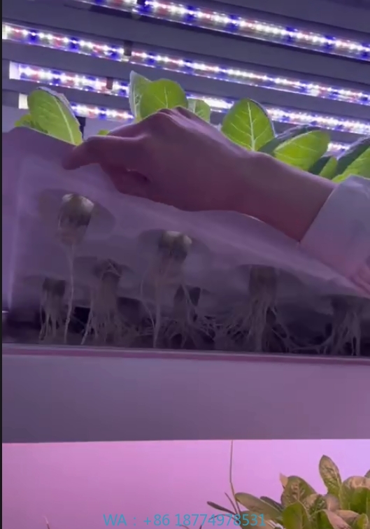 f Equipo agrícola de invernade - Hydroponic Tower reseña y precio