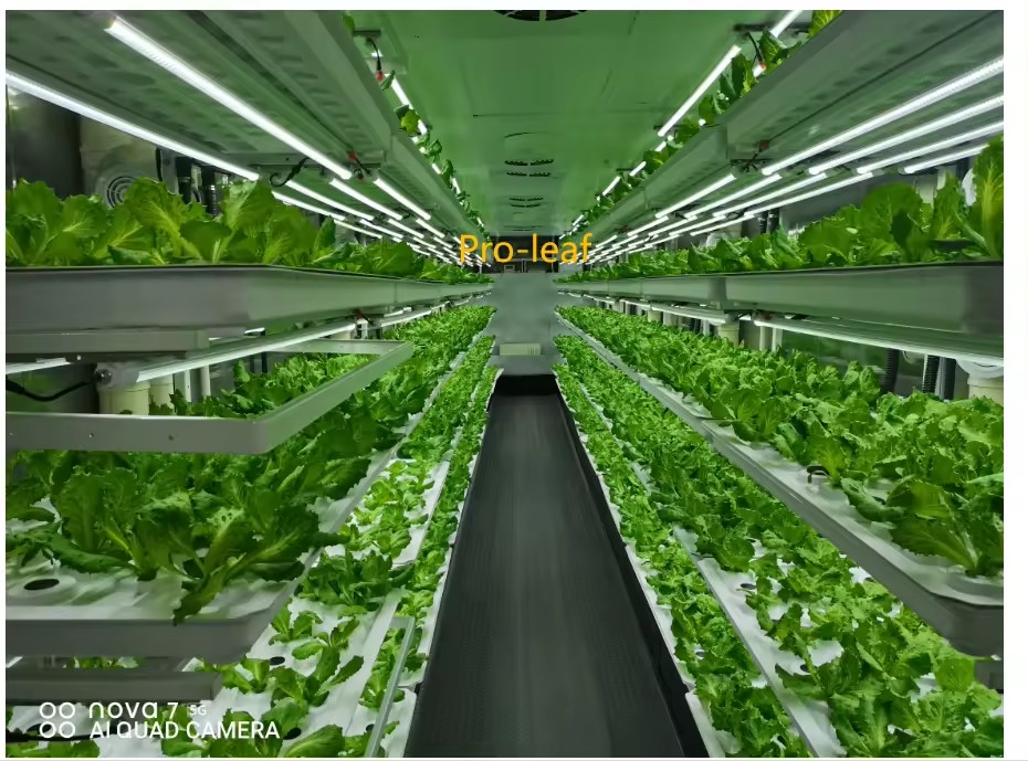 f Equipo agrícola de invernade - Hydroponic Tower reseña y precio