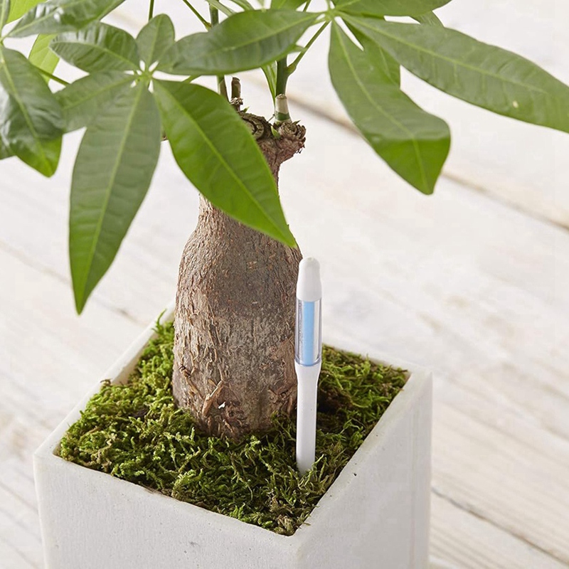 Aquameter, 5 piezas, Sensor de - Plant Sensor reseña y precio