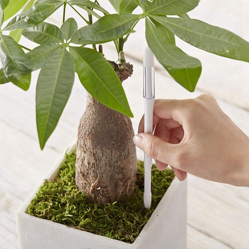 Aquameter, 5 piezas, Sensor de - Plant Sensor reseña y precio