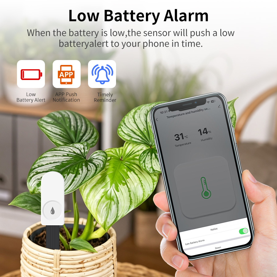 Sensor Inteligente de Humedad  - Garden Camera reseña y precio