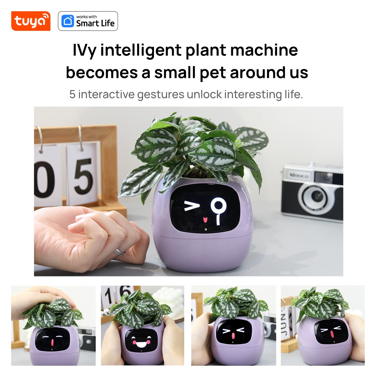 Macetero inteligente Tuya hied - Smart Pot reseña y precio
