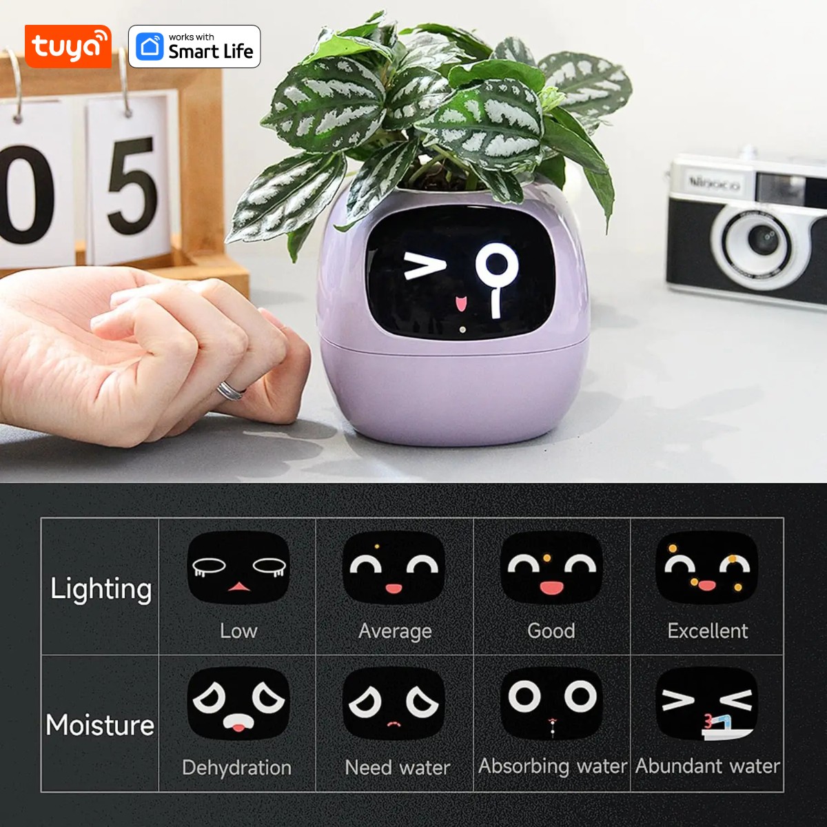 Macetero inteligente Tuya hied - Smart Pot reseña y precio