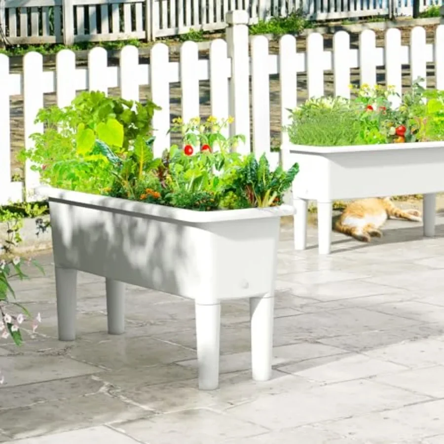 Juego de 2 jardineras elevadas - Self Watering Planter reseña y precio