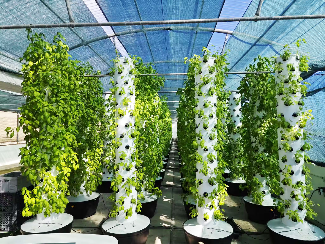 Sistema de Cultivo Vertical Hi - Hydroponic Tower reseña y precio