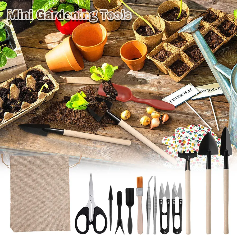 Juego de Herramientas para pla - Indoor Garden Kit reseña y precio