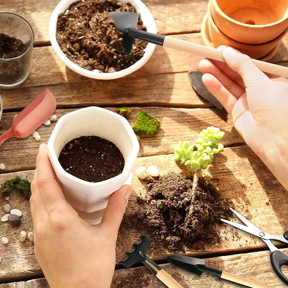 Juego de Herramientas para pla - Indoor Garden Kit reseña y precio