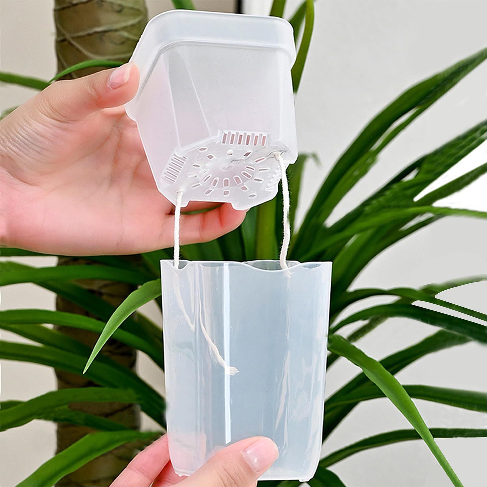 Paquete de 16/32 macetas autor - Plant Monitor reseña y precio