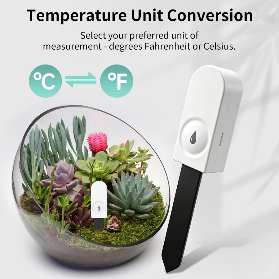 Monitor de Plantas Zigbee 3.0, - Garden Camera reseña y precio
