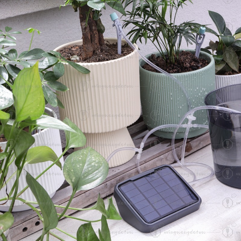 Dispositivo de Riego Automátic - Automatic Watering reseña y precio