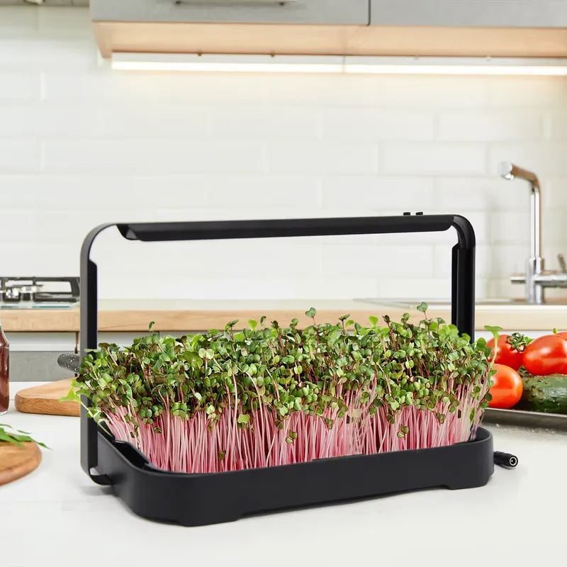 Bandeja Hidropónica para Inter - Smart Garden System reseña y precio