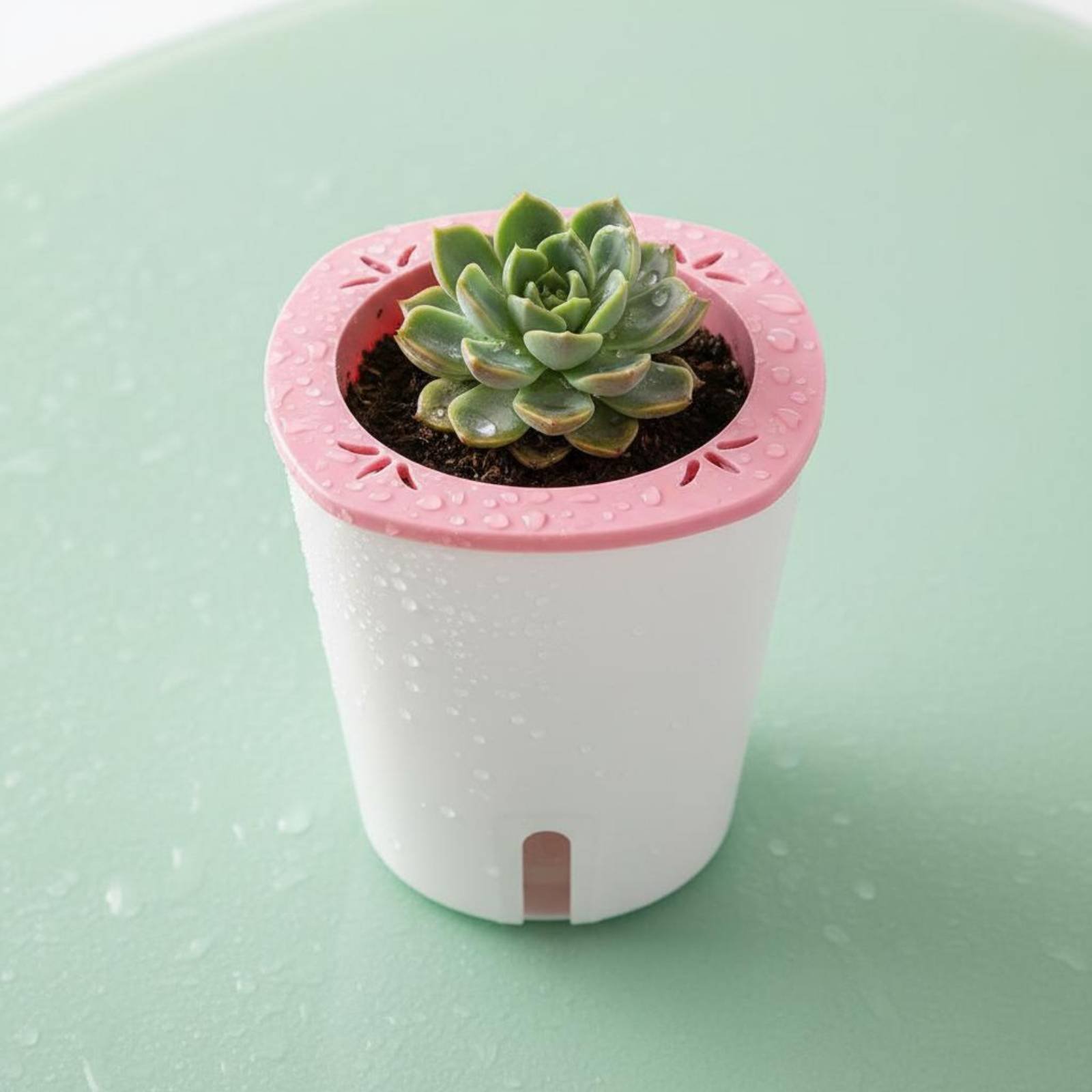 Maceta con Sistema de Autorrie - Self Watering Planter reseña y precio