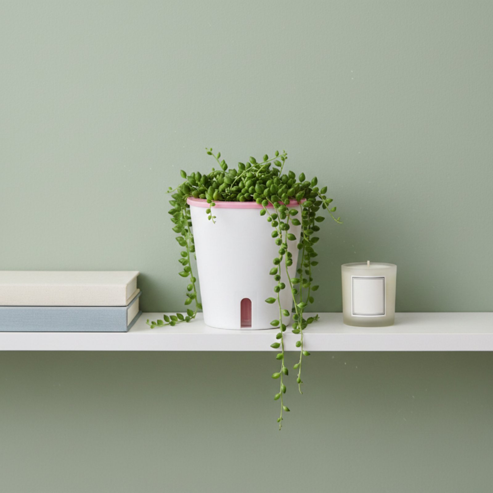 Maceta con Sistema de Autorrie - Self Watering Planter reseña y precio